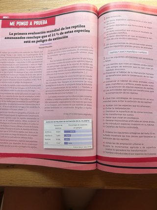 Lengua Castellana, 3 ESO, Programa Carmen de Bu...