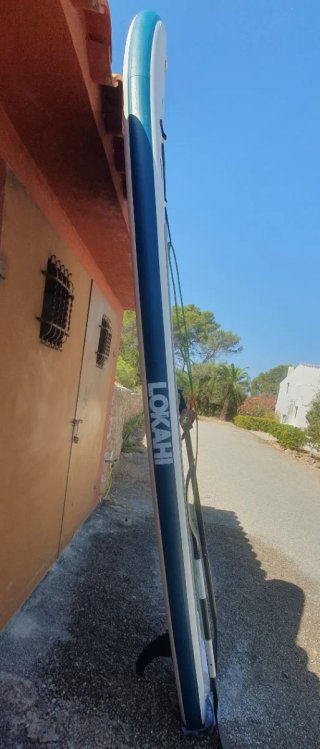 Paddle 10*6*