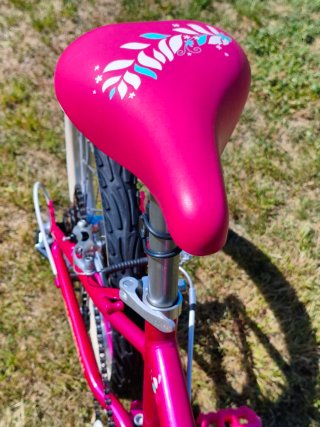 Bicicleta niña 20 pulgadas