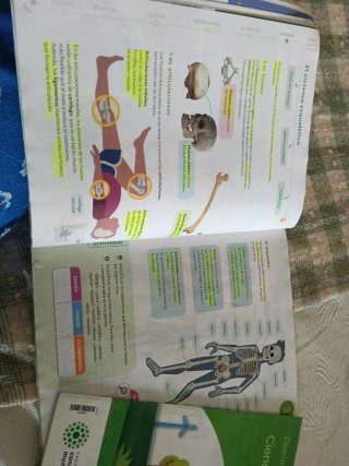 CIENCIAS DE LA NATURALEZA 5 PRIMARIA CONSTRUYEN...