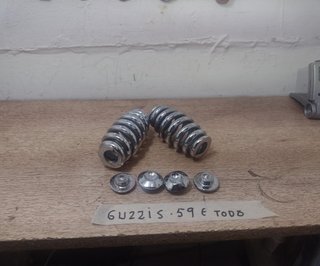 Muelles Suspensión Guzzi
