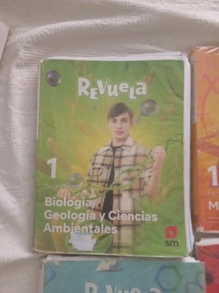 Todos los libros de 1o Bachillerato : Revuela
