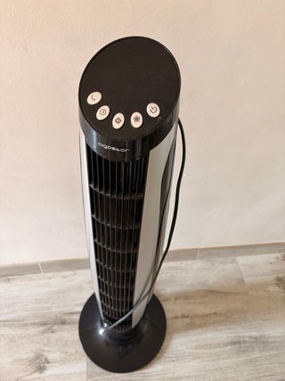 Ventilador de pie Aigostar Negro/Plata