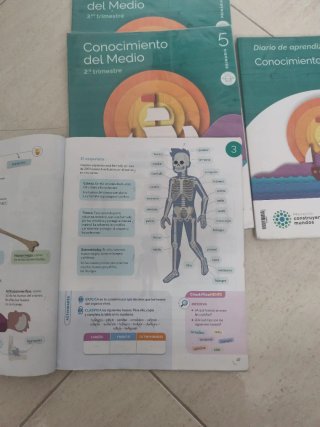 Conocimiento del medio 5 Primaria : Proyecto Co...