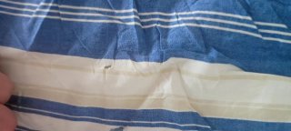 Camisa Mirto Hombre Beige y Azul Rayas