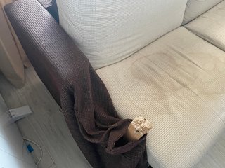 SOFA CAMA BEIGE Y MARRÓN (LEER)