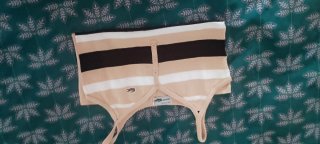 Top Lacoste Rayas Beige y Marrón Mujer