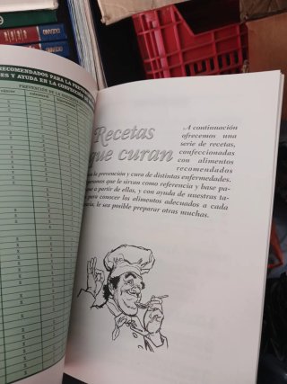 El Libro de Las Comidas Que Curan