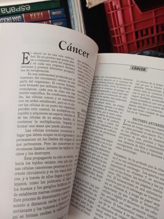 El Libro de Las Comidas Que Curan