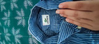 Camisa Lacoste Rayas Azules Hombre
