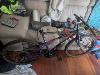 Bicicleta Bianchi Todomonte Araña Vintage