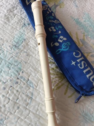 Flauta escolar con funda y limpiador