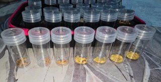Estuche con 30 tipos de semillas ecológicas