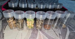 Estuche con 30 tipos de semillas ecológicas