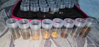 Estuche con 30 tipos de semillas ecológicas