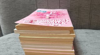 Lote de 9 libros Magic Ballerina de Darcey Bussell