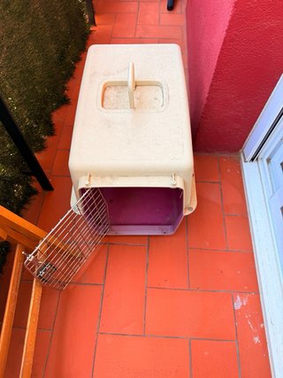 Transportín para Perro Beige