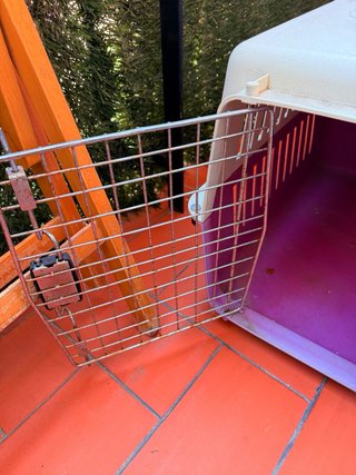 Transportín para Perro Beige