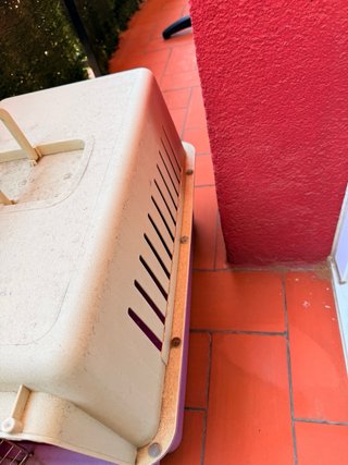 Transportín para Perro Beige
