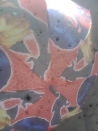 Paraguas infantil Ladybug