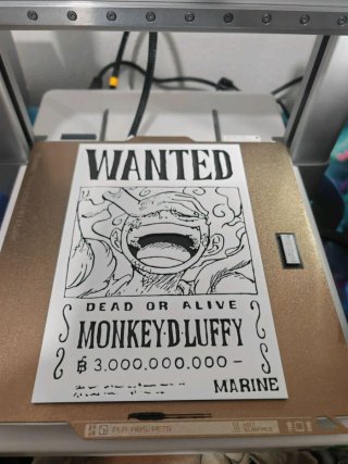 Cartel de Se Busca Luffy