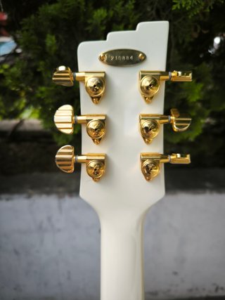 Duesenberg Starplayer TV Phonic VW PVP 2888€