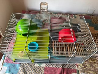 Jaula y accesorios para hámster