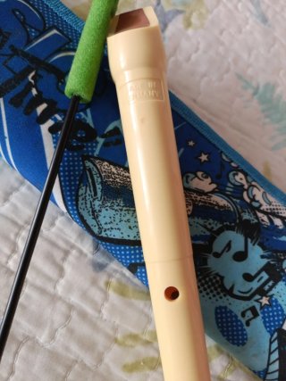 Flauta escolar Hohner con funda