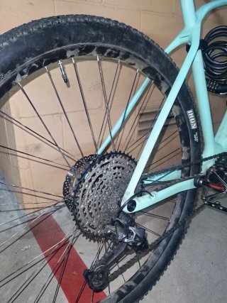 Orbea Alma M50 2022