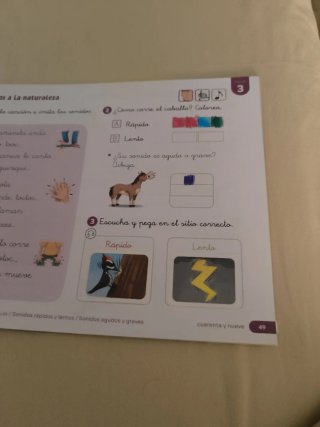 Libros de texto primero primaria