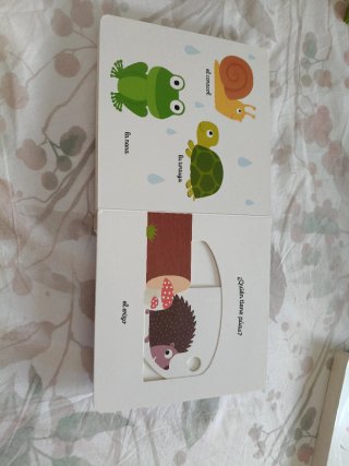 El pequeño libro de los bichos
