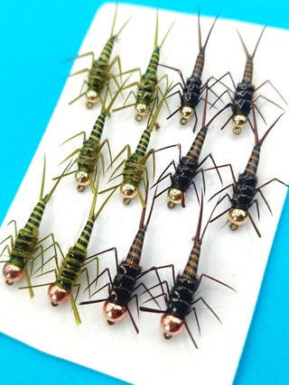 Mosca ninfa pesca Stonefly Oliva
