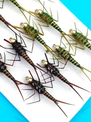 Mosca ninfa pesca Stonefly Oliva