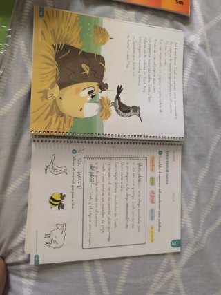 Libro de texto primero primaria Lengua primero