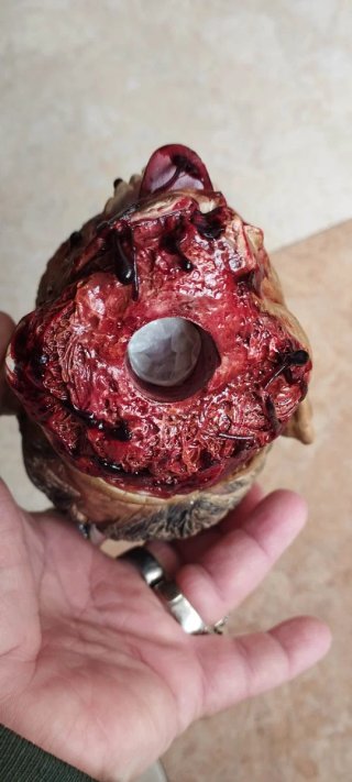 Busto zombie realista con peana
