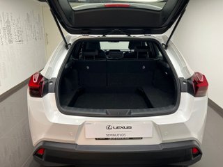 Lexus UX300H UX+ 2025 REF 4214