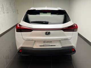 Lexus UX300H UX+ 2025 REF 4214