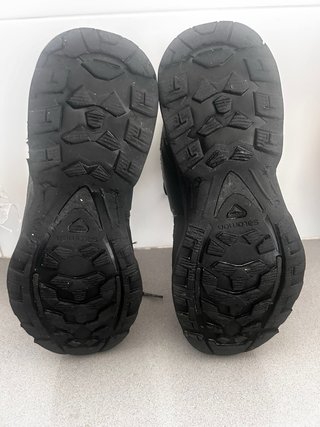 Botas Salomon Quest 4D GTX Forces 2 EN