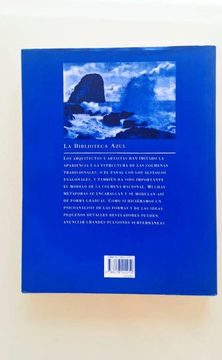 La metáfora de la colmena, Juan Antonio Ruiz