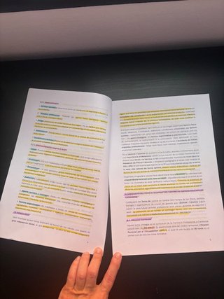 TEMARI RESUMIT I ESQUEMA OPOSICIONS FOL CATALUNYA