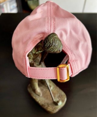 Gorra Celine Rosa con C