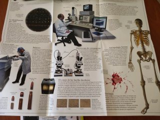Libro Ciencia Forense (Editorial SM) - Con CD