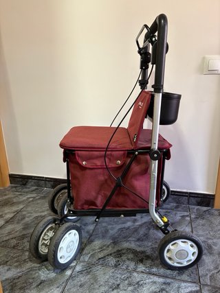 Caminador Carlett Senior Ruby