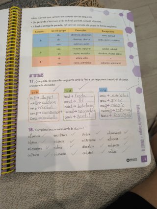 Llengua catalana, 4 Educació Primària, Programa...