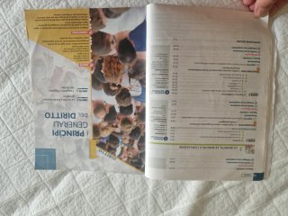 Attivi insieme. Princìpi di diritto ed economia...