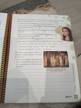 Lengua castellana, 6 Educación Primaria, Progra...