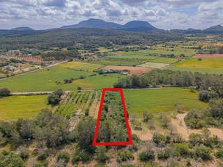 Terreno en venta en Algaida