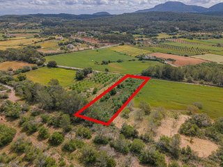 Terreno en venta en Algaida