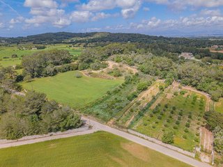 Terreno en venta en Algaida