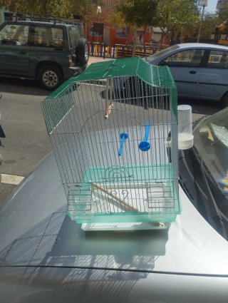 Jaula para pájaros verde y transparente